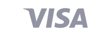 Visa payment logo